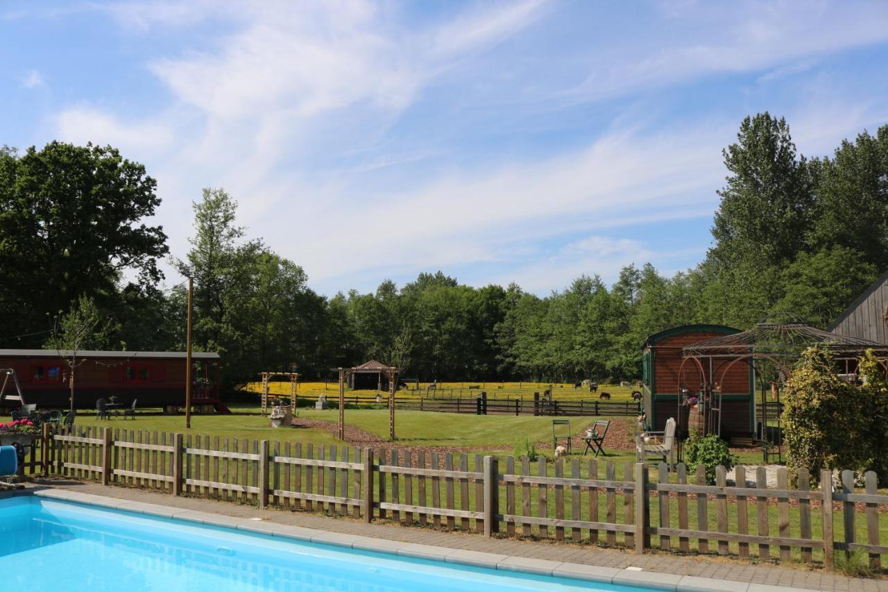 Pia B&B Babbita Hasselt Bagian luar foto